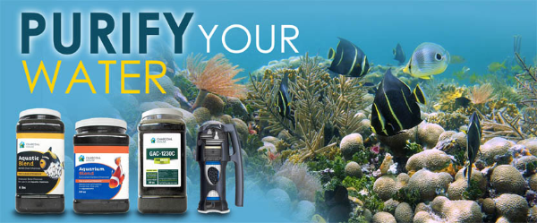 activated charcoal for water filters activated carbon water filter